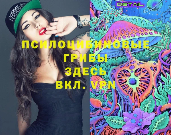 гашик Покровск