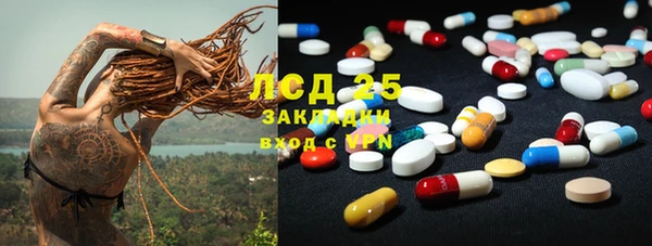 гашик Покровск