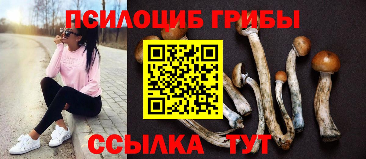 Алапаевск  Псилоцибиновые грибы Psilocybine cubensis  купить наркотики цена  Вход с VPN 